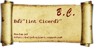 Bálint Ciceró névjegykártya